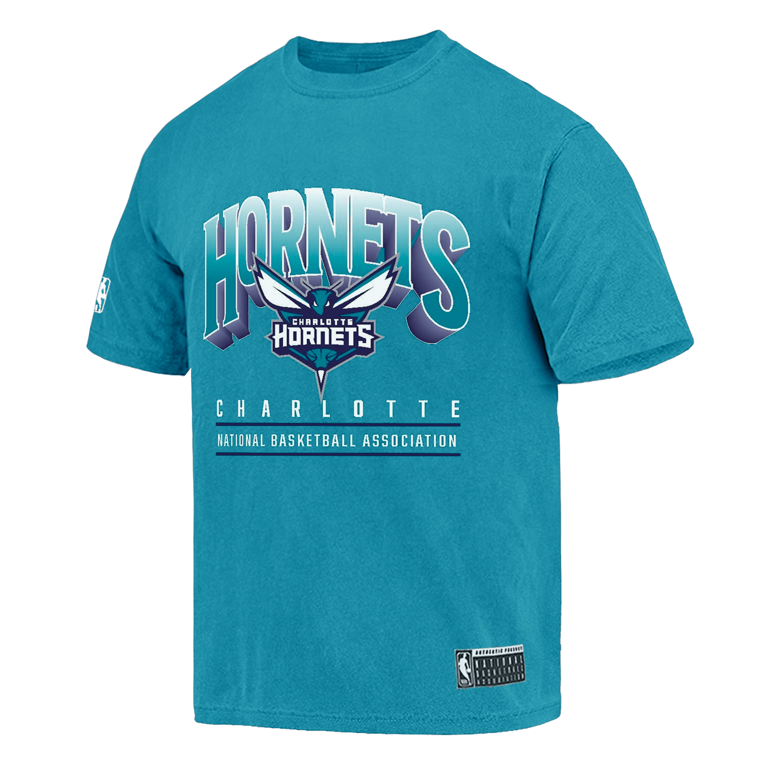 Charlotte Hornets NBA Essentials Newark Vintage T-Shirt - Faded Teal