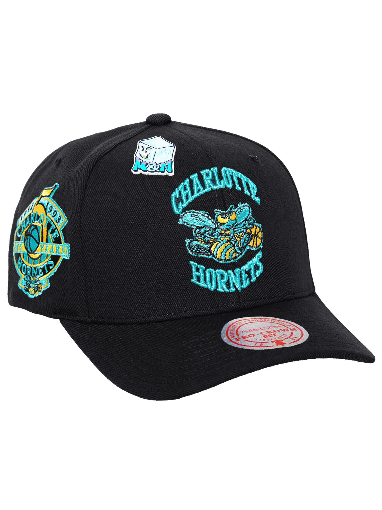 Charlotte Hornets Mitchell & Ness NBA Ice Cold Pro Crown Snapback Hat - Black