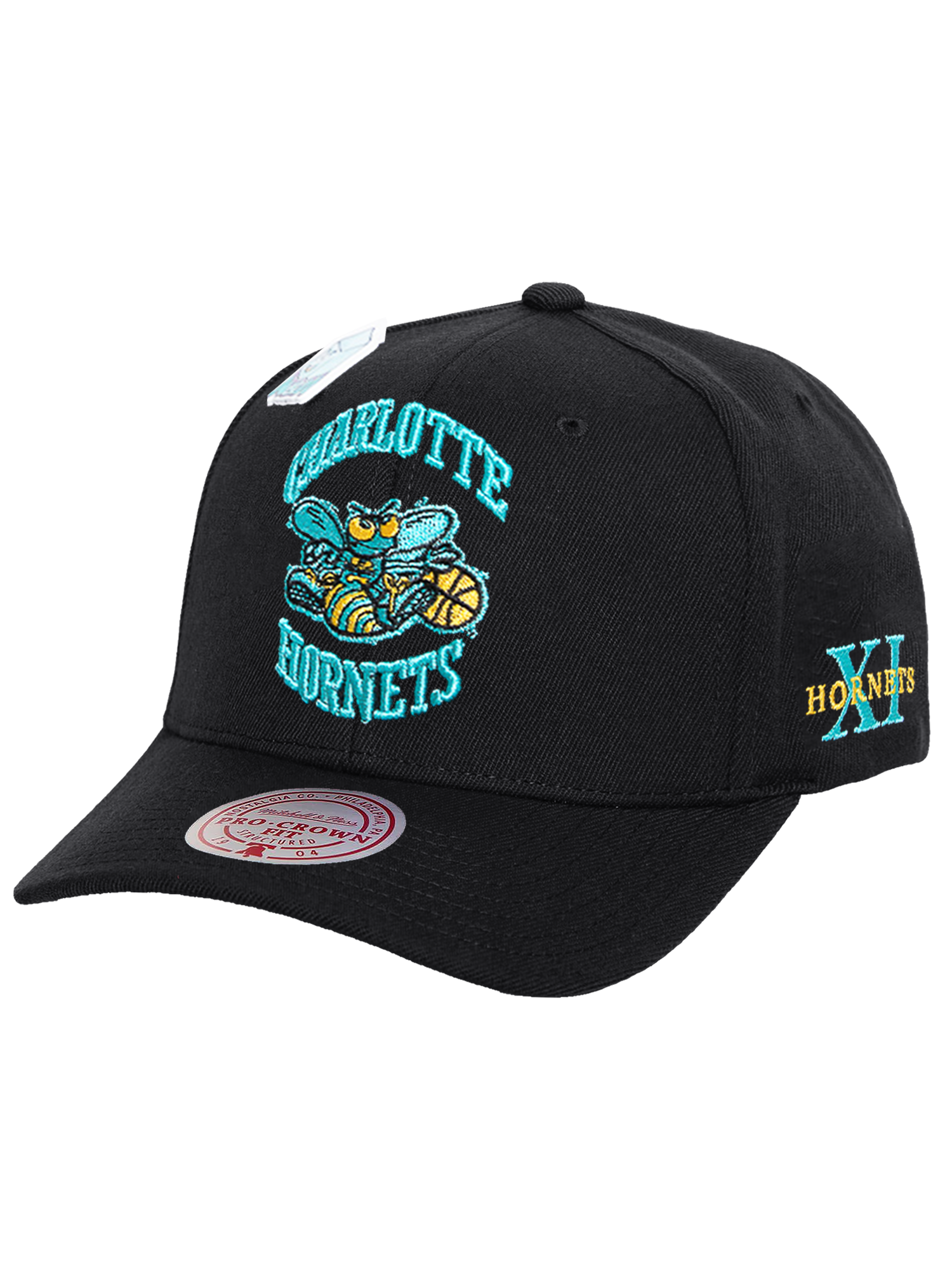 Charlotte Hornets Mitchell & Ness NBA Ice Cold Pro Crown Snapback Hat - Black