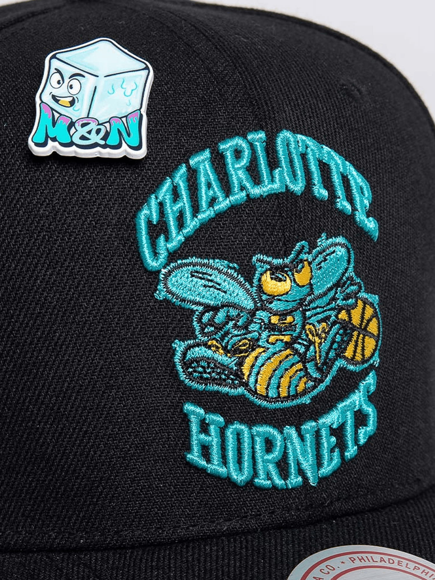 Charlotte Hornets Mitchell & Ness NBA Ice Cold Pro Crown Snapback Hat - Black