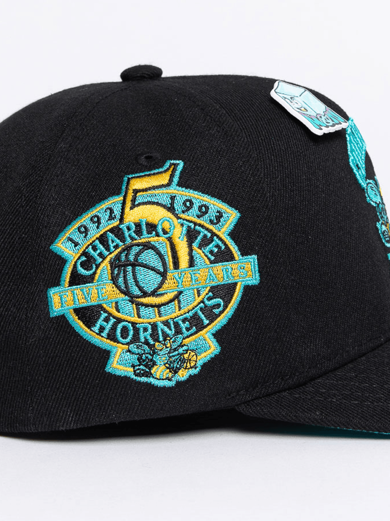 Charlotte Hornets Mitchell & Ness NBA Ice Cold Pro Crown Snapback Hat - Black