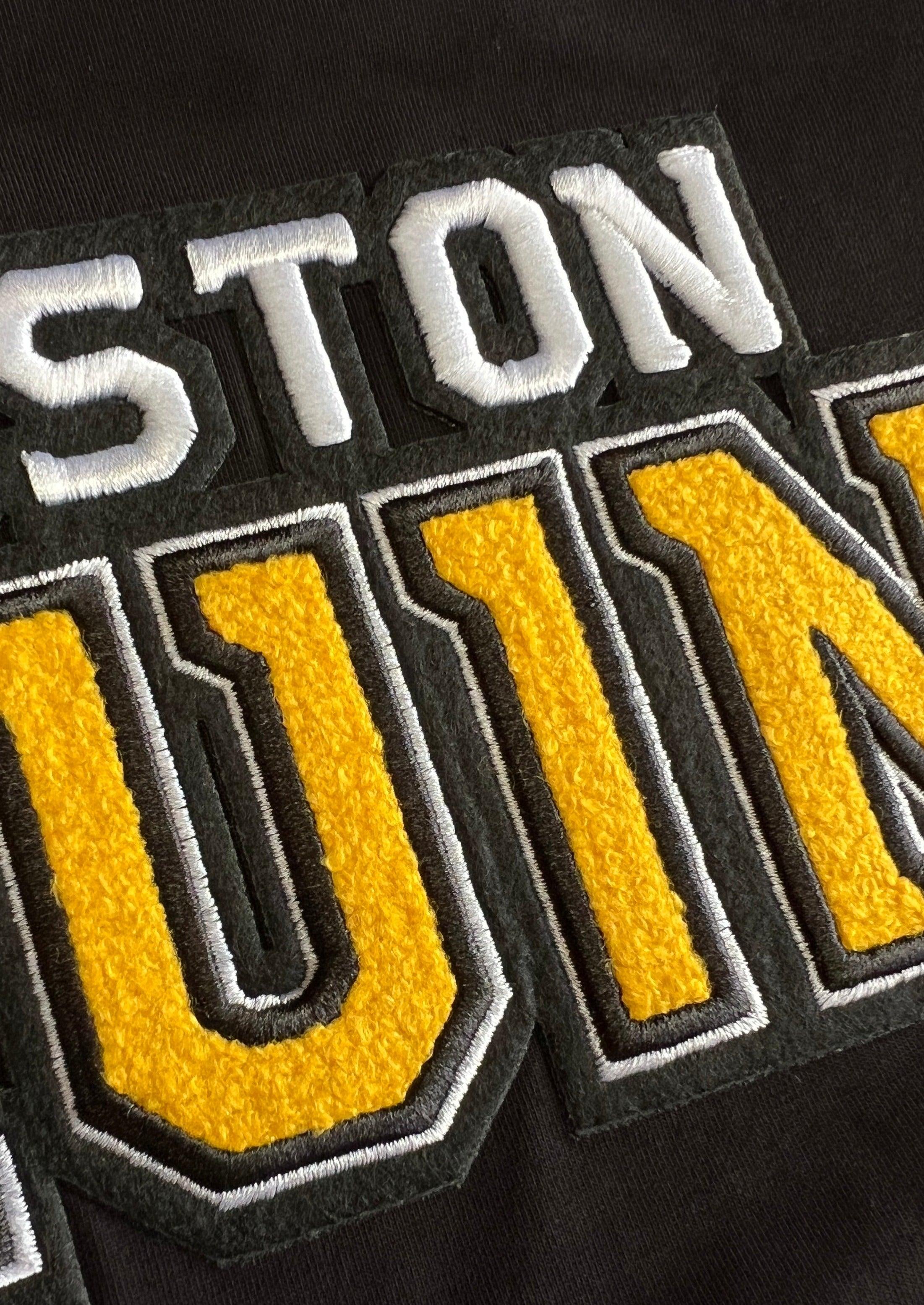 Boston Bruins Pro Standard NHL Classic Chenille T-Shirt - Black