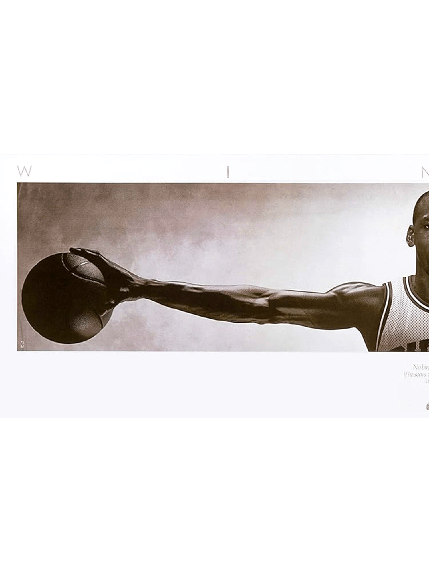 Michael Jordan Chicago Bulls NBA Wings 160 x 55cm Poster