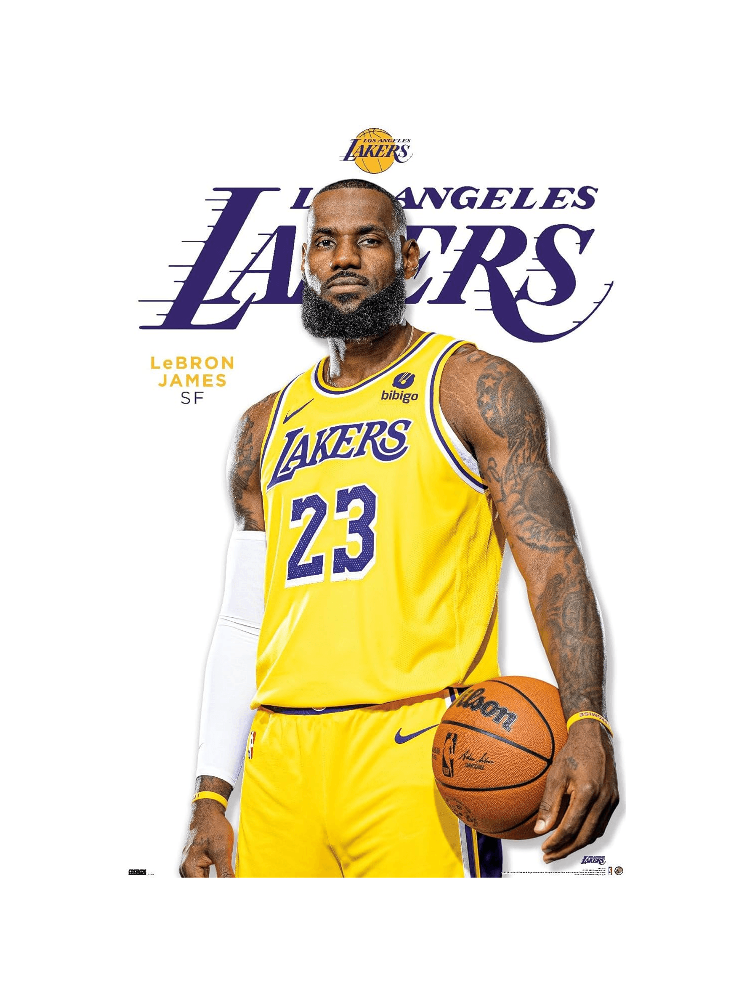 LeBron James Los Angeles Lakers Trends NBA 61 x 91.5cm Feature Poster