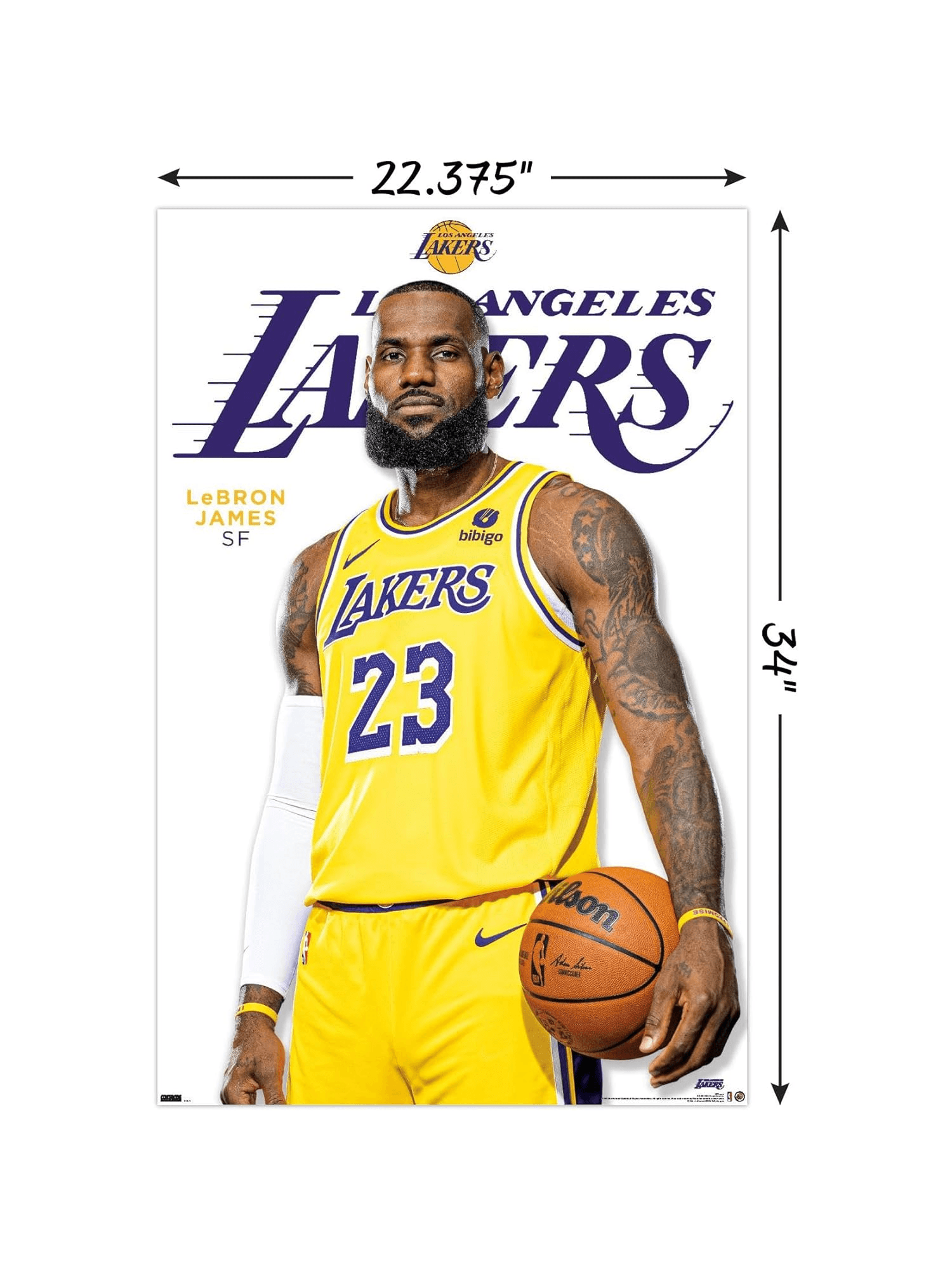 LeBron James Los Angeles Lakers Trends NBA 61 x 91.5cm Feature Poster