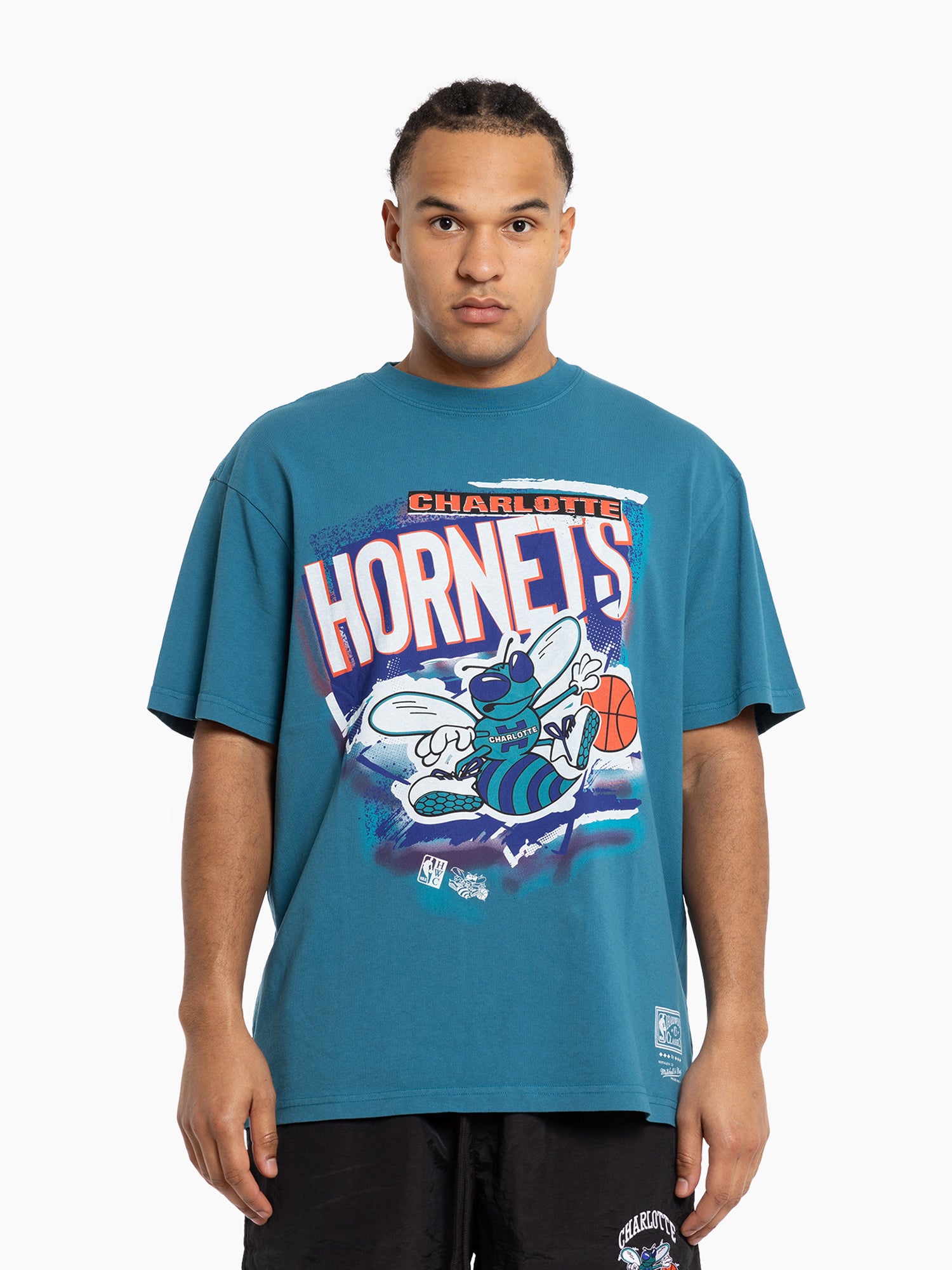 Charlotte Hornets Mitchell & Ness NBA Abstract Vintage T-Shirt - Faded Teal