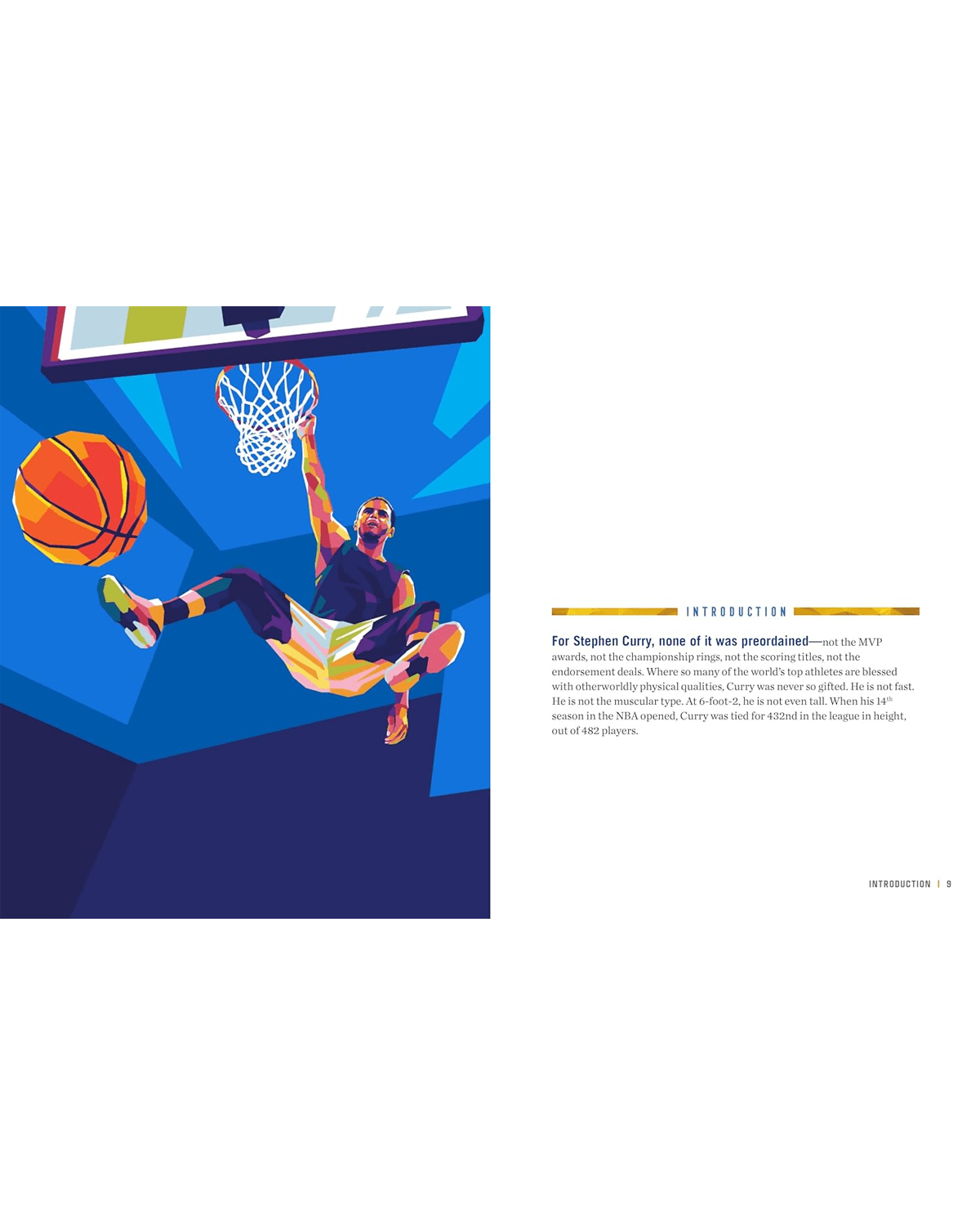 Steph Curry Life Lessons From a Legend NBA Hardcover Book