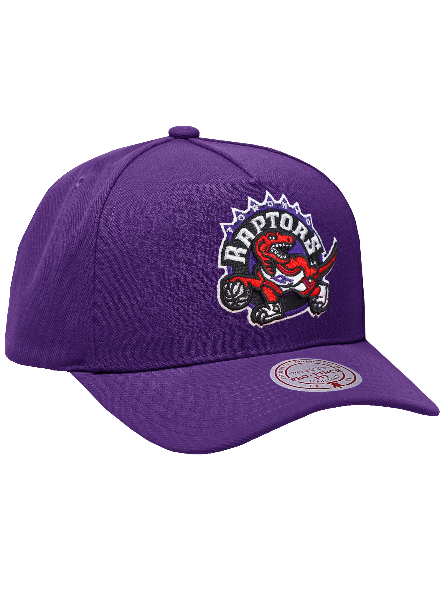 Toronto Raptors Mitchell & Ness NBA HWC Pro Pinch Snapback Hat - Purple