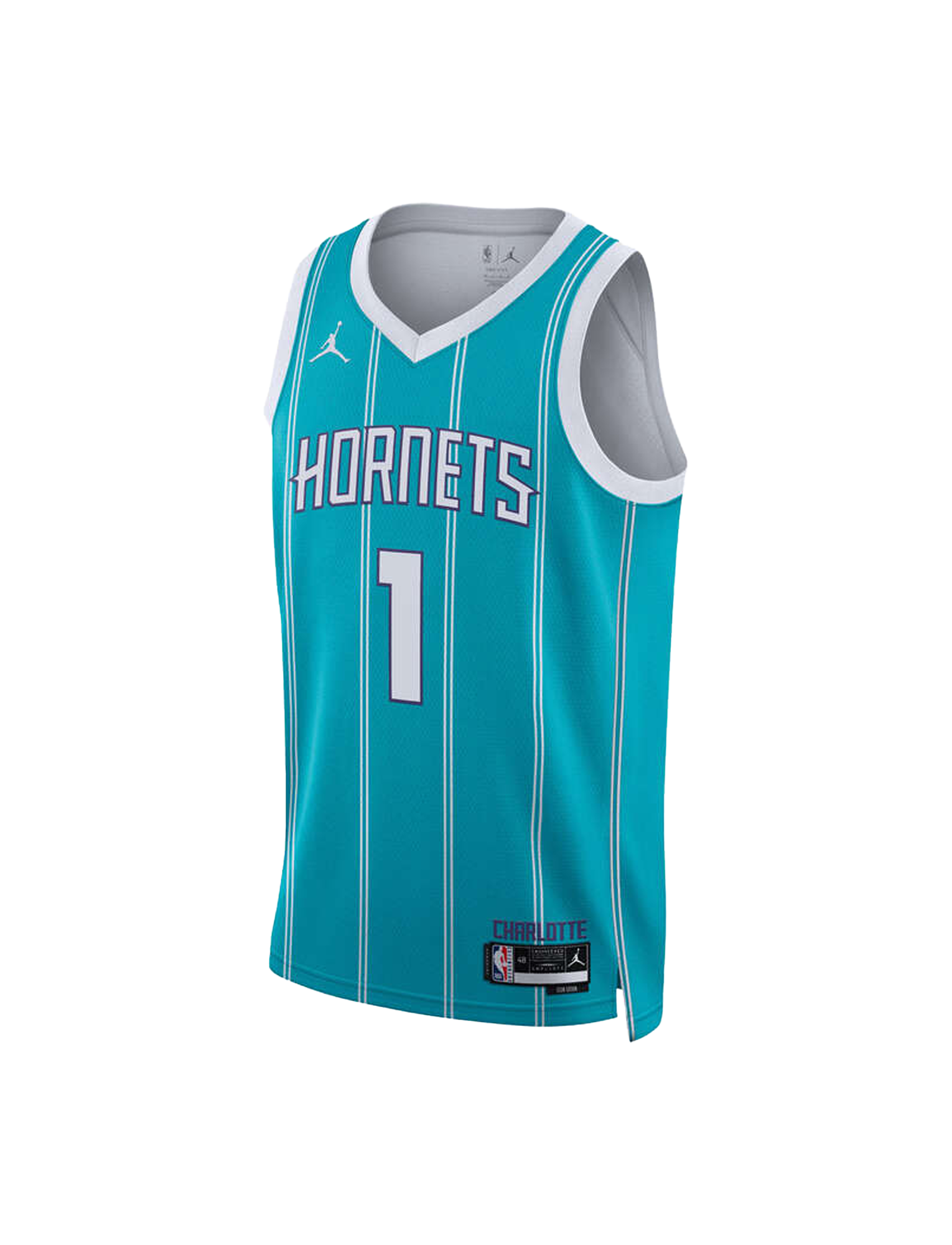 Youths LaMelo Ball Charlotte Hornets Nike NBA Icon Jersey - Teal