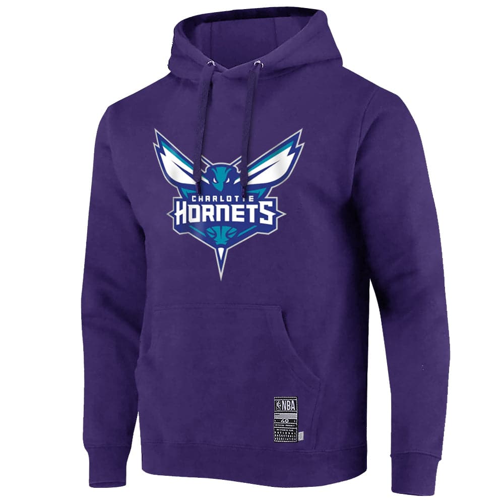 Youths LaMelo Ball Charlotte Hornets NBA Essentials Top Of The Key Hoodie Jumper - Purple