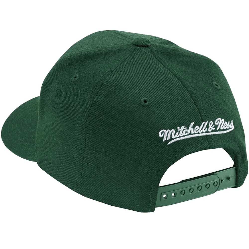 Las Vegas Raiders Mitchell & Ness NFL Clear Field Curve Snapback Hat - Green